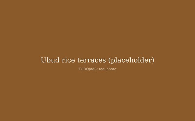 Terraced rice paddies near Ubud in morning light